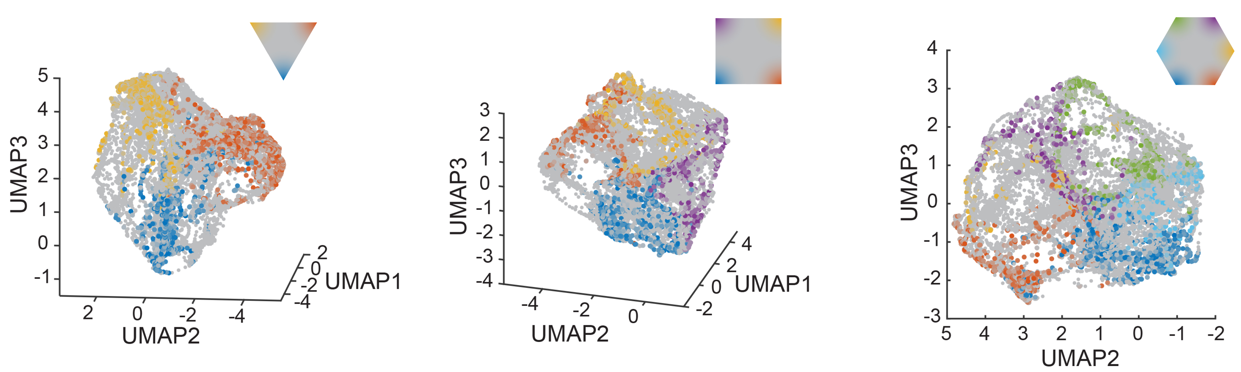 Manifold embedding